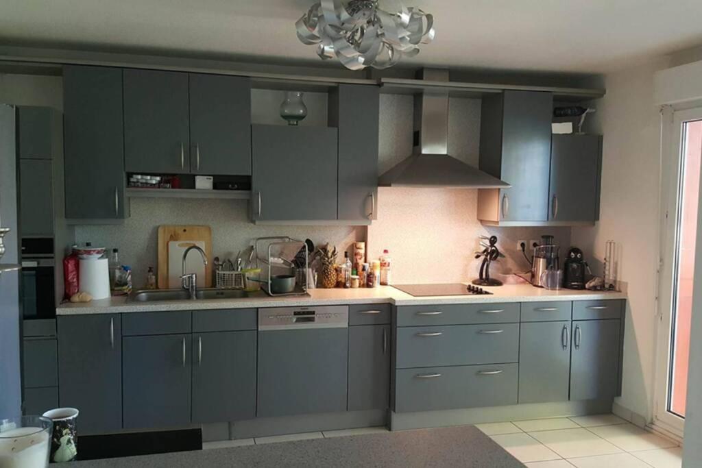 Superbe Duplex Au Nouveau Bassin Avec Vue Superbe Mulhouse Exterior photo